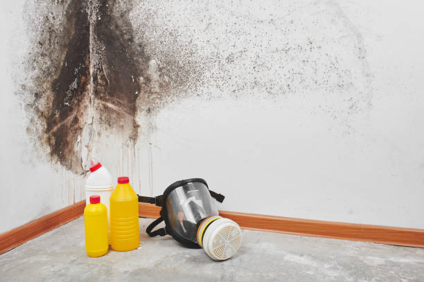 Mold Remediation for Rental Properties in Preston, IA