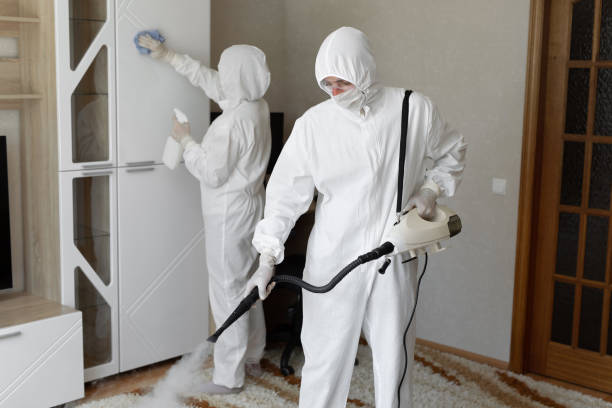 Why You Should Choose Our Mold Remediation Services in Preston, IA